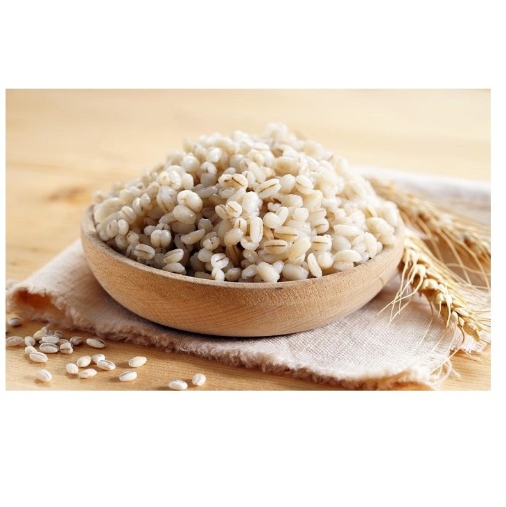 Barley Grains Premium Barley Seeds/Animal feed barley/bulk barley grains Malted Barley Malt grain