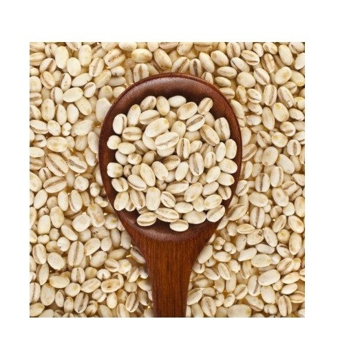 Barley Grains Premium Barley Seeds/Animal feed barley/bulk barley grains Malted Barley Malt grain