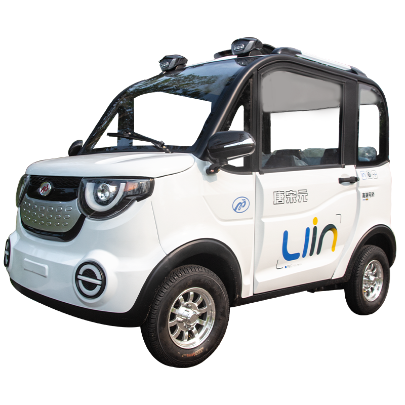 Four Wheels 1000 W Motor Electric Car for Adult