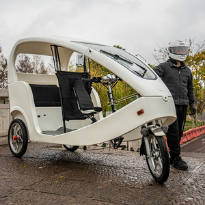 Electric Velo Taxi Three Wheel Motor Cycle 1000w Electric Rickshaw Electric Pedicab Tricycle