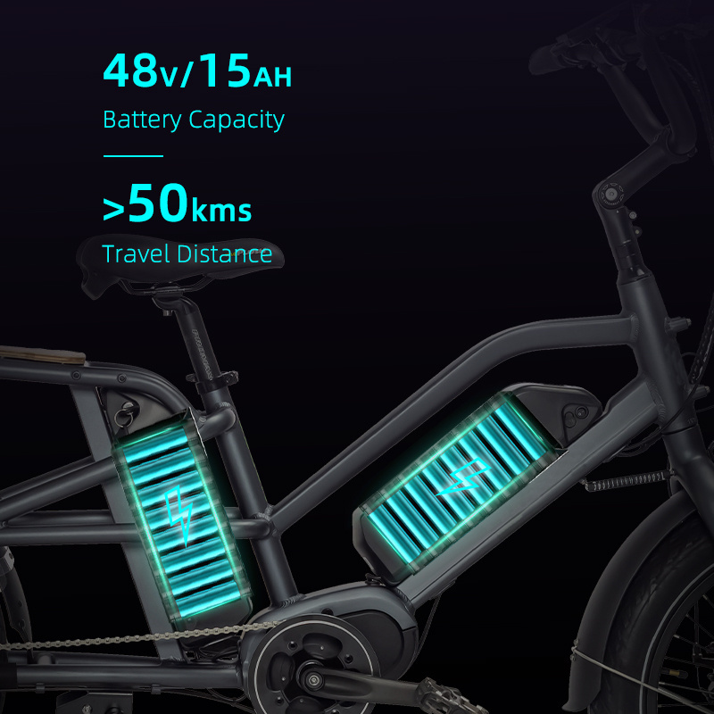 Wholesale Price 20 Inch Fat Tire Long Tail Ebike 48V350W 15Ah Dual Battery Electric Cargo Bike