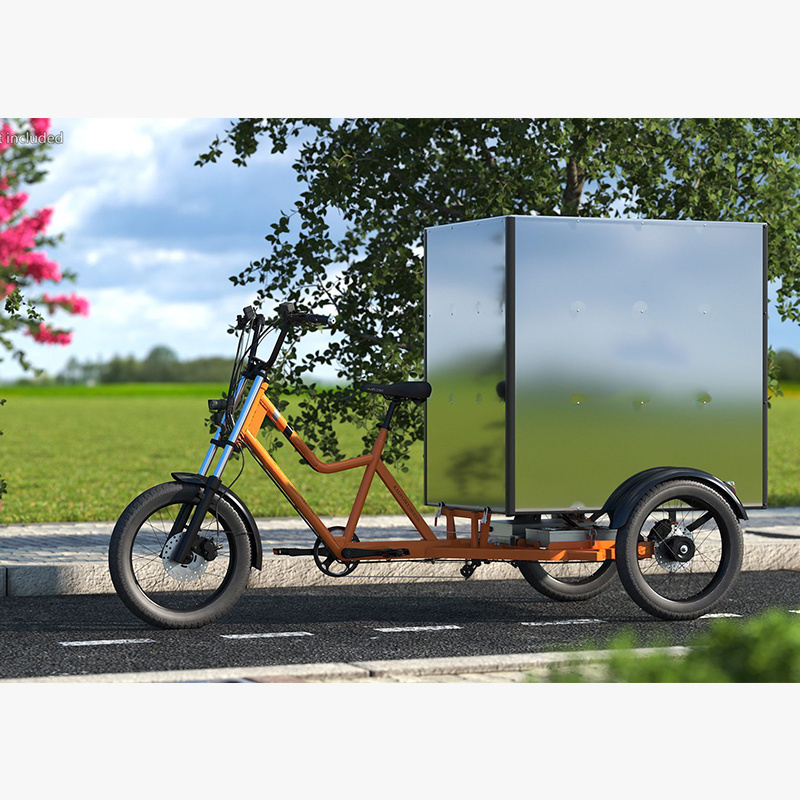 3 wheel tricycle electric bike 48V 1000W high speed cargo electric tricycle