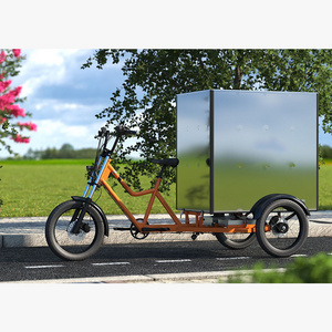 3 wheel tricycle electric bike 48V 1000W high speed cargo electric tricycle