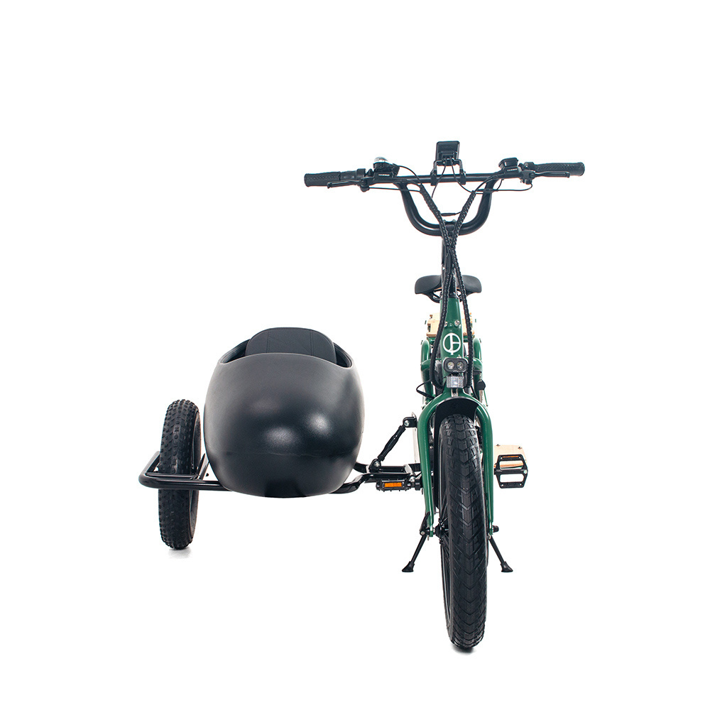 OEM 20inch Dual Battery High Speed E Bike Power Fatbike Electric Cargo Bike with sidecar