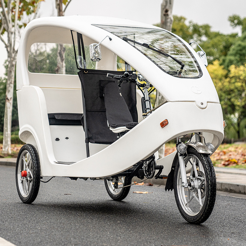 Electric Velo Taxi Three Wheel Motor Cycle 1000w Electric Rickshaw Electric Pedicab Tricycle