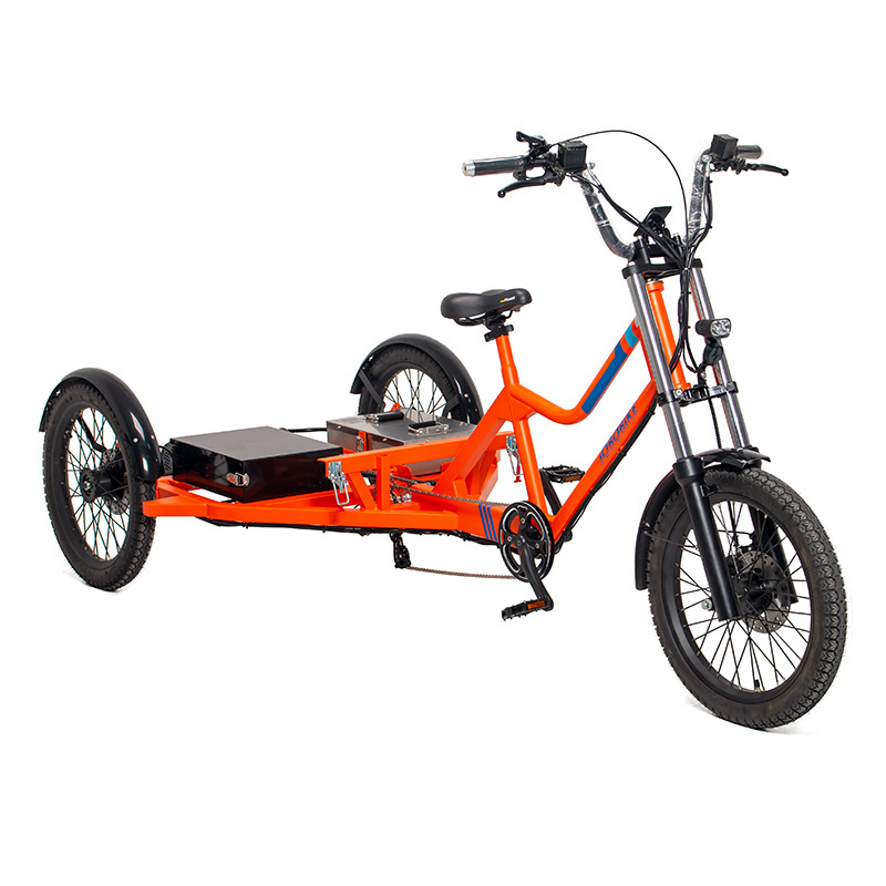 3 wheel tricycle electric bike 48V 1000W high speed cargo electric tricycle