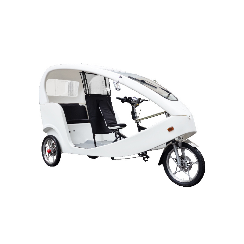 Eco-friendly CE 1000W business Electric tricycle three wheel bike taxi pedicab