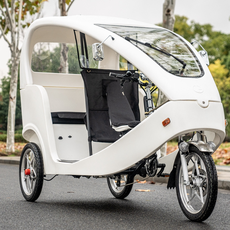 Velo electrique Three wheel motorcycle Electric Tricycles Pedicab with many passengers 1000W Velo Taxi