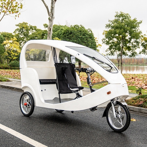 Morden City 48V 1000W 12V 45Ah 3 Wheel Bike Taxi Car Tricycles Electric Bicycle Electric Pedicab