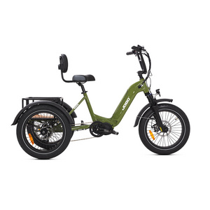 20*3.0inch 7 Speed Bafang 48V500W Suspension Fork LCD Display 3 Wheel Cargo Electric Trike Tricycle Pedicab