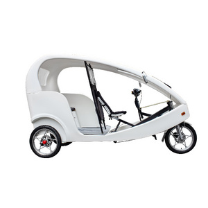 Eco-friendly CE 1000W business Electric tricycle three wheel bike taxi pedicab