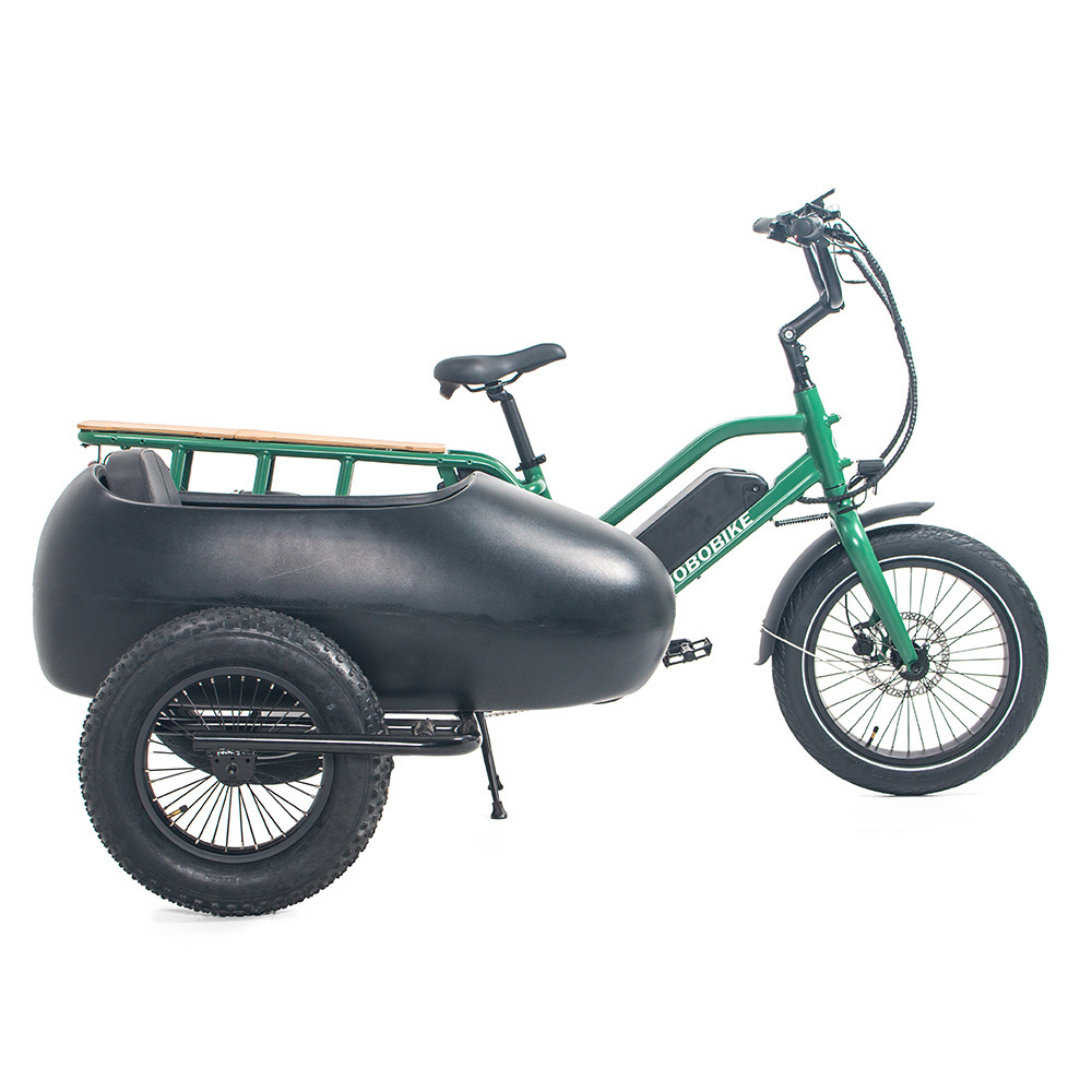 OEM 20inch Dual Battery High Speed E Bike Power Fatbike Electric Cargo Bike with sidecar