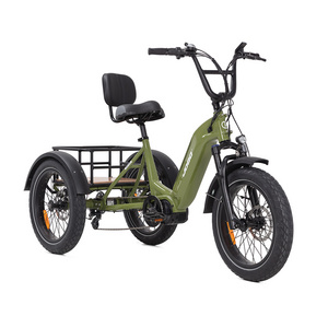 20*3.0inch Fat Tire Bafang 48V500W 3 Wheel Cargo Bike Electric Trike Tricycle Pedicab