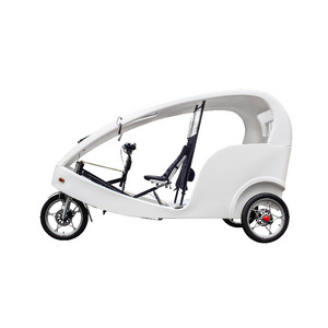 Three Wheel Motorcycle Electric Tricycles 3 Wheel Electric Cargo Bike Electric Pedicab With 1000W Motor Velo Taxi