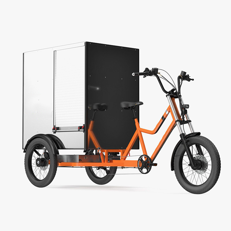 3 wheel tricycle electric bike 48V 1000W high speed cargo electric tricycle