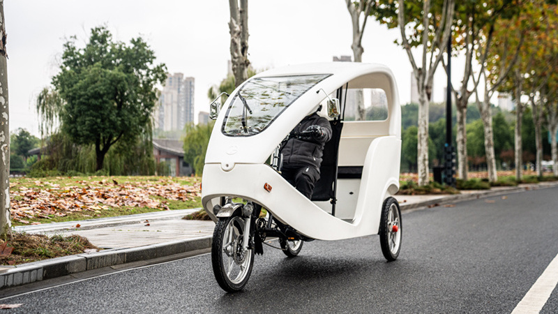 Velo electrique Three wheel motorcycle Electric Tricycles Pedicab with many passengers 1000W Velo Taxi