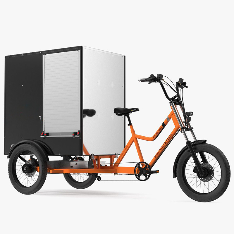 3 wheel cargo 48V 52.5Ah 1000W tricycle electric bike for passengers