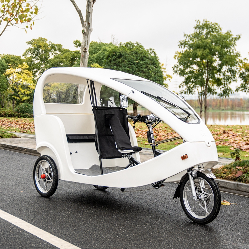 Velo electrique Three wheel motorcycle Electric Tricycles Pedicab with many passengers 1000W Velo Taxi