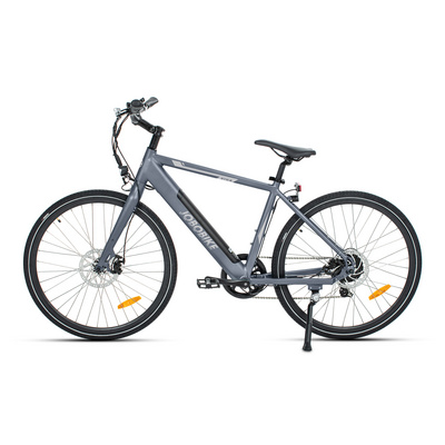 TDA14 Electric Bike 700cc with Brushless Motor 36V/250W