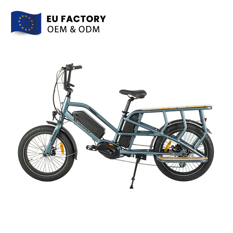 Wholesale Price 20 Inch Fat Tire Long Tail Ebike 48V350W 15Ah Dual Battery Electric Cargo Bike