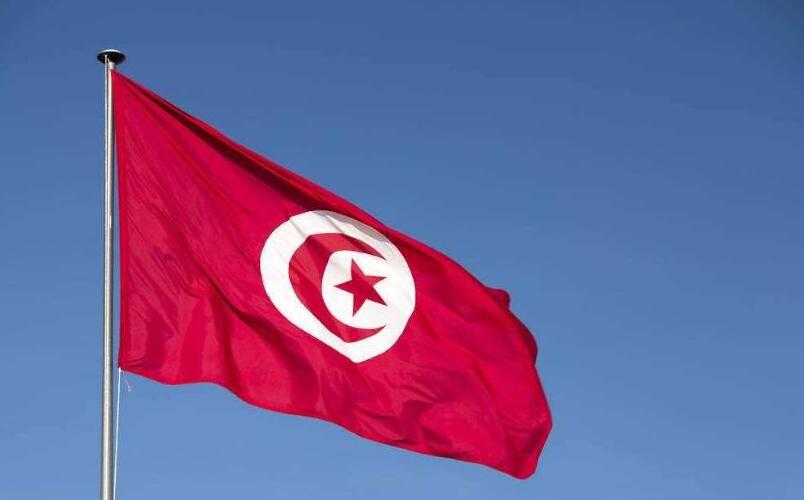 Ready To Ship Fast Shipping 100% Polyester flags 3x5ft Tunisia All Country Flag