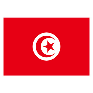 Ready To Ship Fast Shipping 100% Polyester flags 3x5ft Tunisia All Country Flag