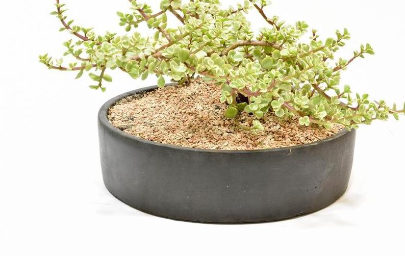 Handmade Round Concrete Centerpiece Pot, Concrete Bowl, Home Decor