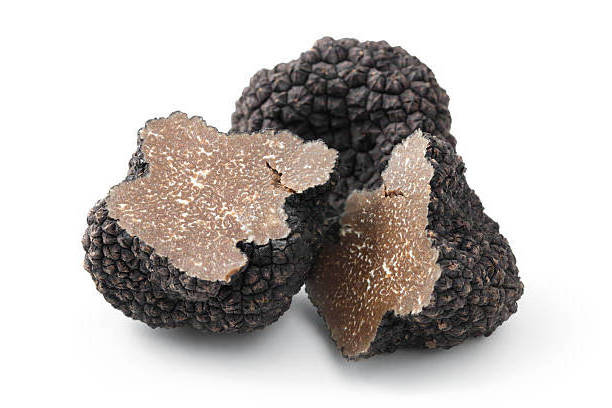 Top Quality Concentrations Black truffle Tuber Indicum Beta Glucan Capsules Supplements Mushroom Extract Powder