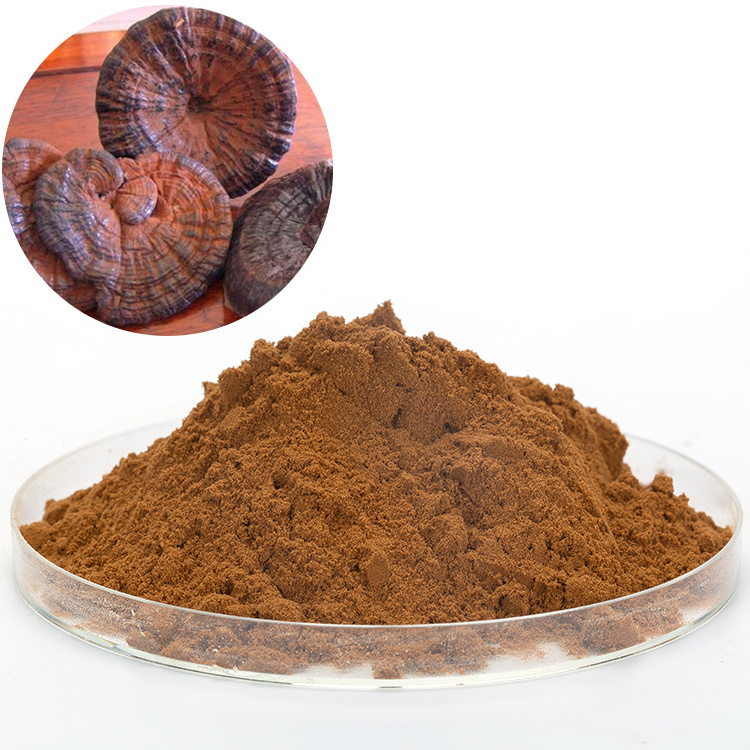 Ganoderma Lucidum Triterpene Organic Reshi Polysaccharides Botanical Extract