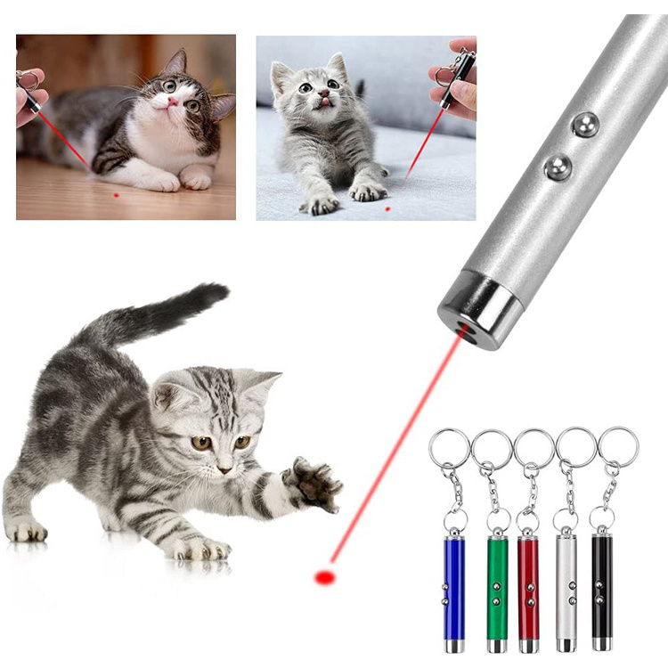 2 in 1 Cat Toy Laser Mini Flashlight Keychain Light Red Laser LED Training Flashlight Pen Funny Cat Portable Flashlight