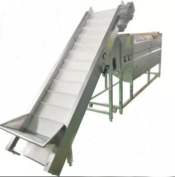 1000kg/h Potato Cassava  Peeling Machine Continuous peeler vegetable  washing machine commercial Orange cleaning machine