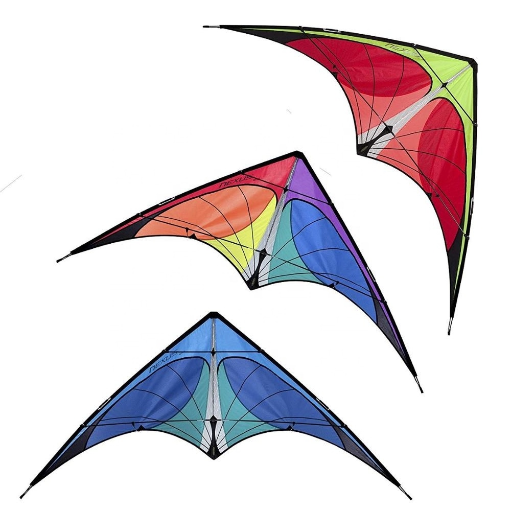 Professional and High Quality Dual Line Stunt Kite for Outdoor