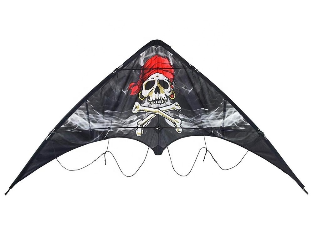 Professional and High Quality Dual Line Stunt Kite for Outdoor