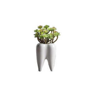 Tooth Succulent Pots 3-Pack, Cute White Ceramic Planter Cactus Plant Pot, Creative Pen Pencil Holder for Home Office Desk Decor