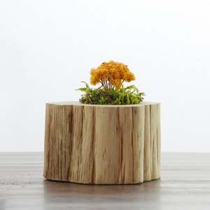 Natural Wood Small Flowerpot,Vintage Gardening Pots,Forest Style Desktop Decorative Tree Stump Shape Flower