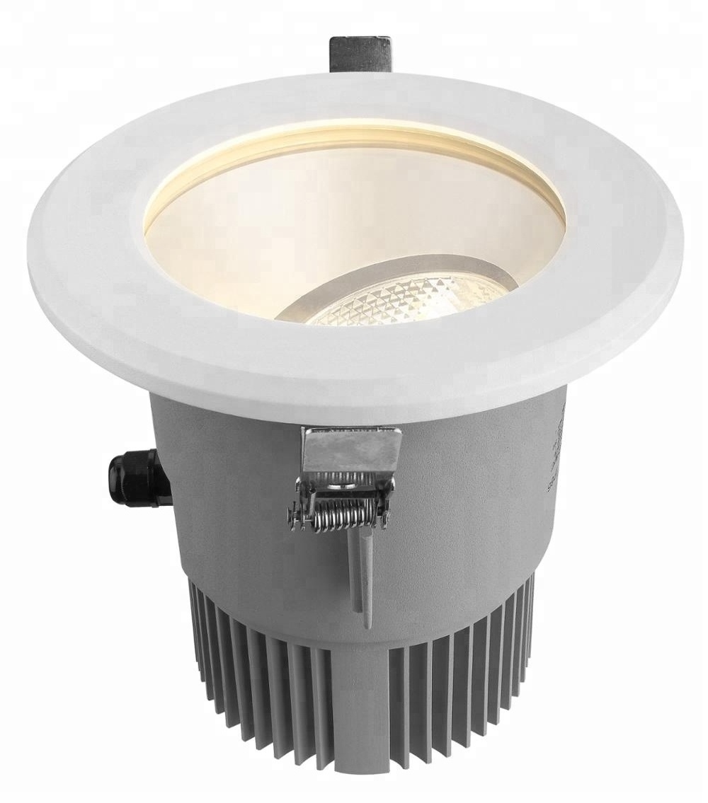 IP65 outdoor LED downlight 15w 20w 30w recessed down light cob led downlight