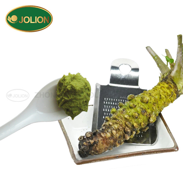 JOLION Natural Horseradish Organic Halal japanese wasabi dry mustard yellow powder