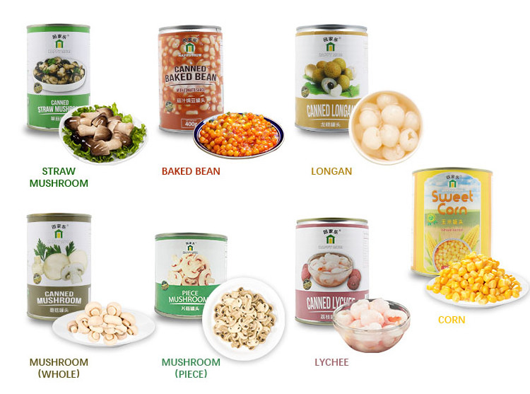 JOLION 425g Easy open Packaging OEM Brand wholesale Bulk Healthy fresh vegetable food canned whole oyster mushroom button