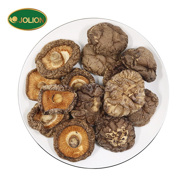 JOLION Attractive Price Chinese OEM Brand Wholesale bulk dried shiitake mushrooms