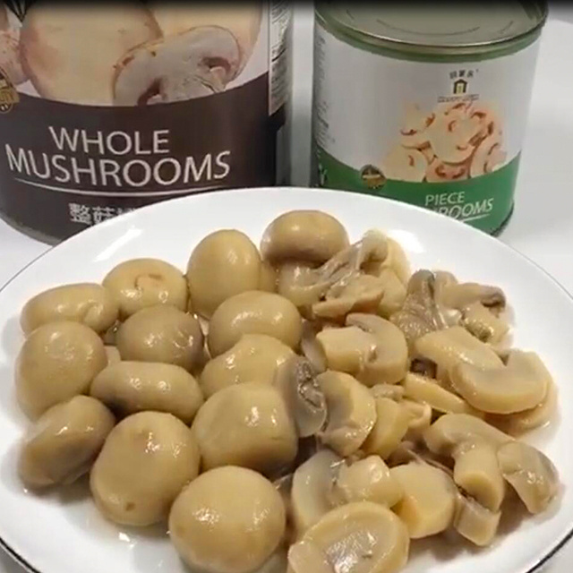 JOLION  Manufacturer HACCP HALAL KOSHER BRC OEM Brand Bulk Cheap Price  Fresh Vegetable Health best canned slices mushroom 400g