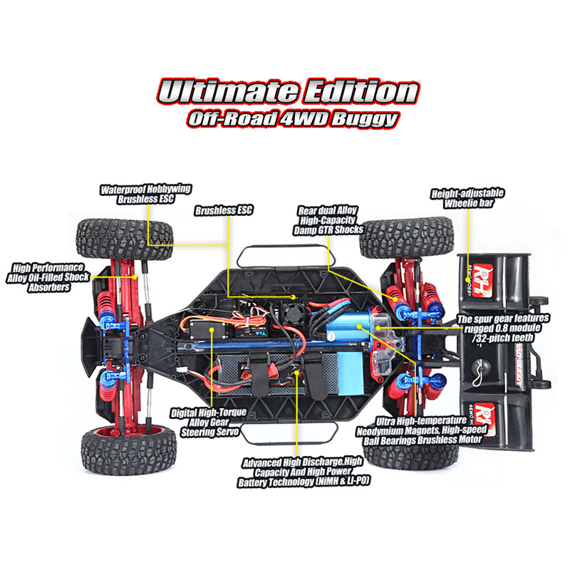 Remo Hobby brushless rc 1/8 remote control car 4x4 electric 4WD 2.4G off-road truggy rc car buggy