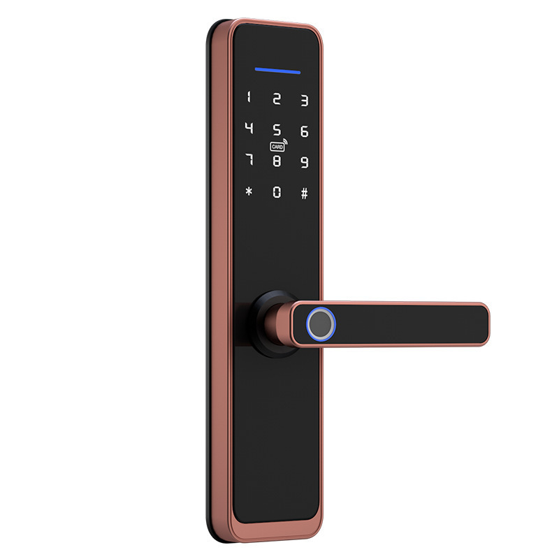 Wifi TUYA SMART Fingerprint Lock with hotel manual push cerradura para puerta principal inteligente smart door lock