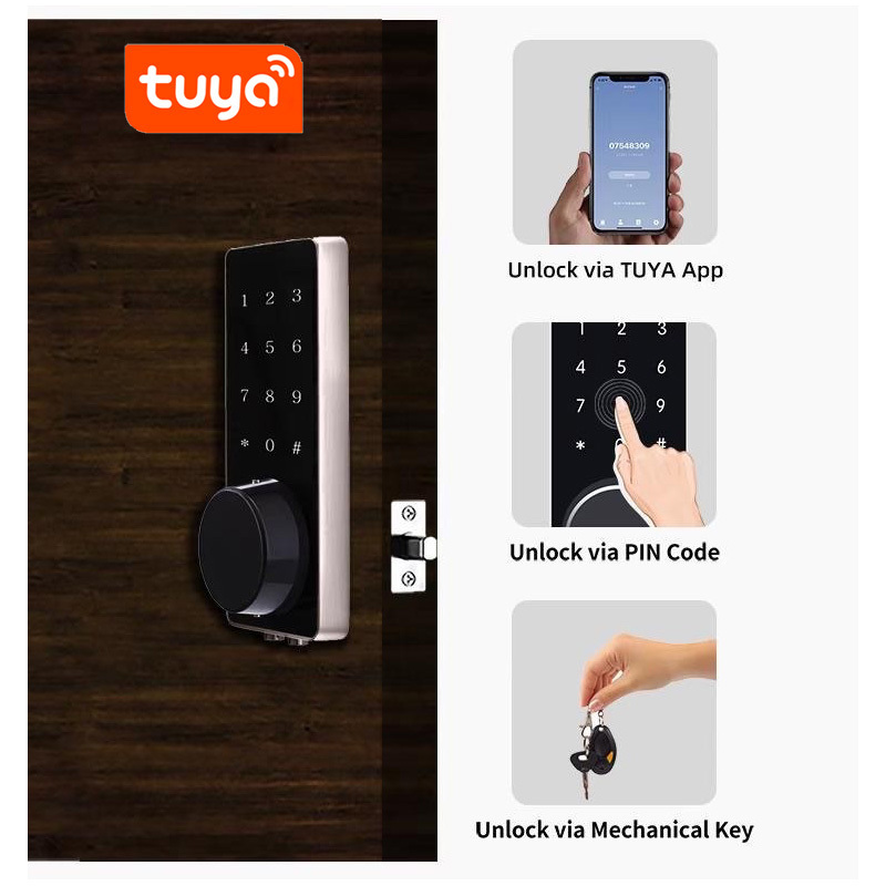 WiFi Tuya Smart Door Lock with RFID card unlock, Smart Digital Keypad APP temporary password send by remote, apart management