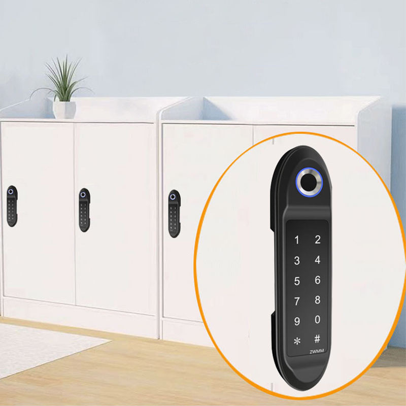 Biometric Fingerprint Cabinet lock Drawer Lock For Gym center Home Security Digital Electronic Locker Lock