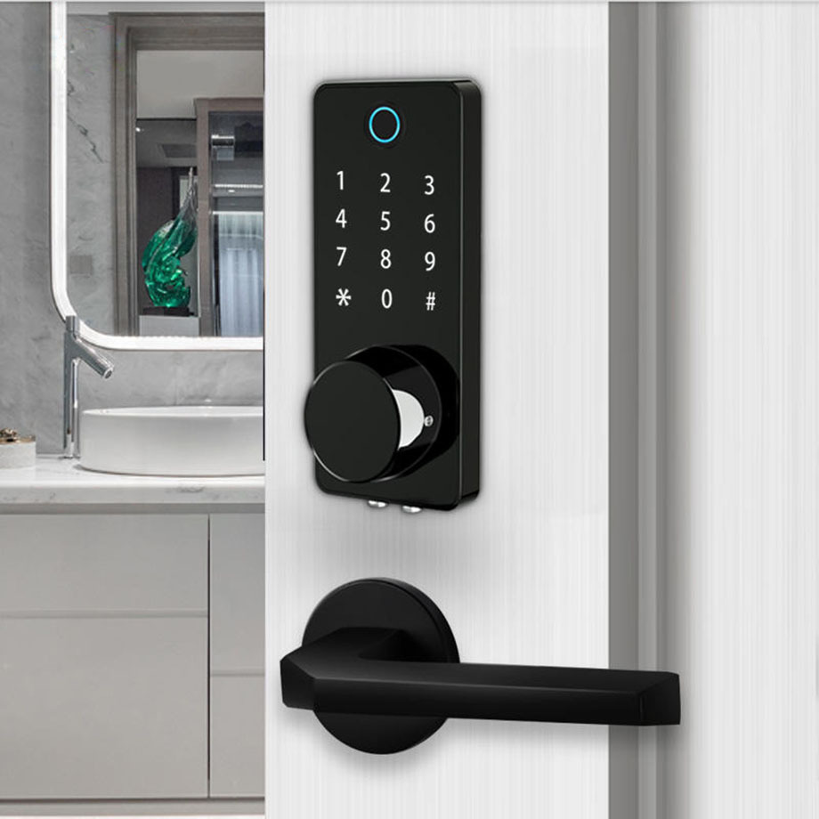 Bluetooth TUYA /TTLock App Digital Keyless Fingerprint Password Smart Door Lock with RFID card deadbolt lock