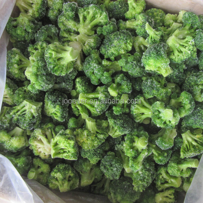 Frozen Broccoli Florets Premium Quality Frozen Vegetables