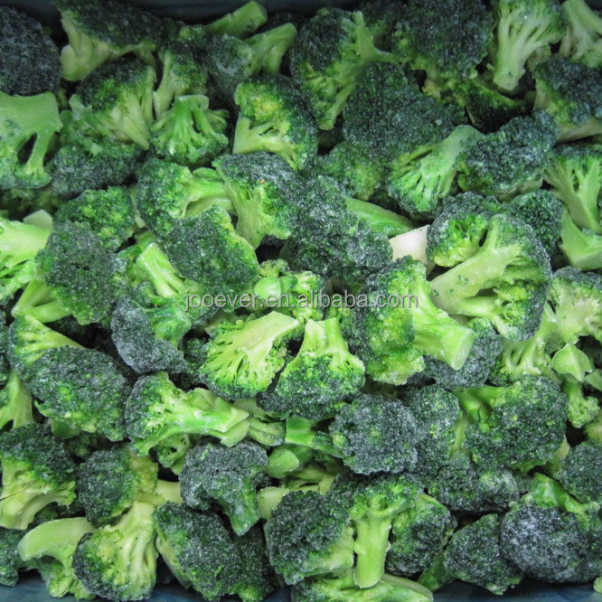 Frozen Broccoli Florets Premium Quality Frozen Vegetables