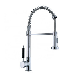 Silver 304 Zinc Solid brass kitchen faucets kitchen sink faucet with pull down sprayer