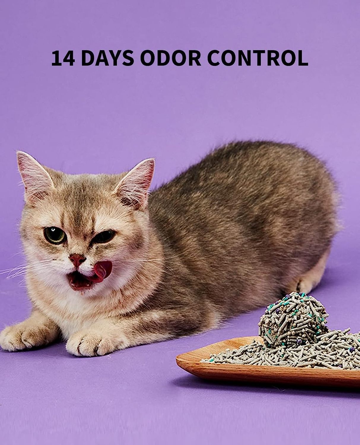 5 in 1 Mixed Cat Litter Strong Clumping Cat Litters Odor and Unscented Ultra Absorbent Water Flushable Bentonite Tofu Cat Litter