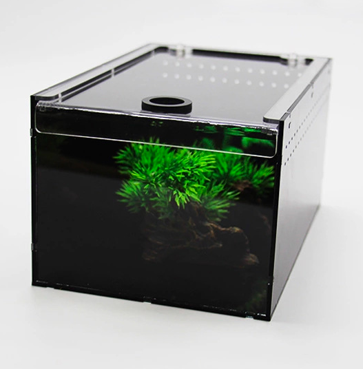 Acrylic Reptile Terrarium Insect Tarantula Enclosure Tank Snail Spider Habitat Cage Mini Critter Keeper Insect Carrier